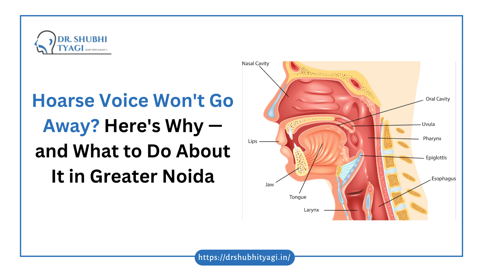 An educational infographic by Dr. Shubhi Tyagi, ENT Specialist, asking "Hoarse Voice Won't Go Away?" alongside a labeled anatomical diagram of the human mouth, throat, and nasal cavity.